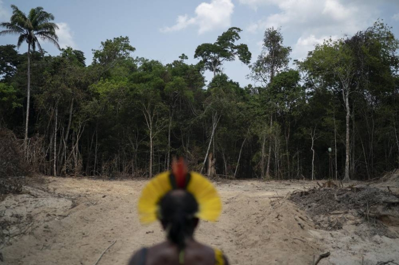 Brazil's Amazon deforestation hits record for month of April - The ...