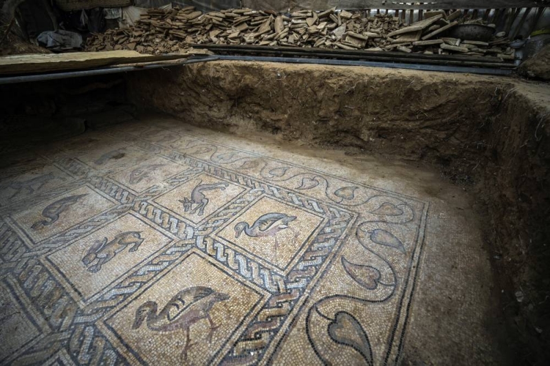 Details of parts of a Byzantine-era mosaic floor are uncovered by a Palestinian farmer in Bureij in central Gaza Strip, Sept. 5, 2022. Photo: AP