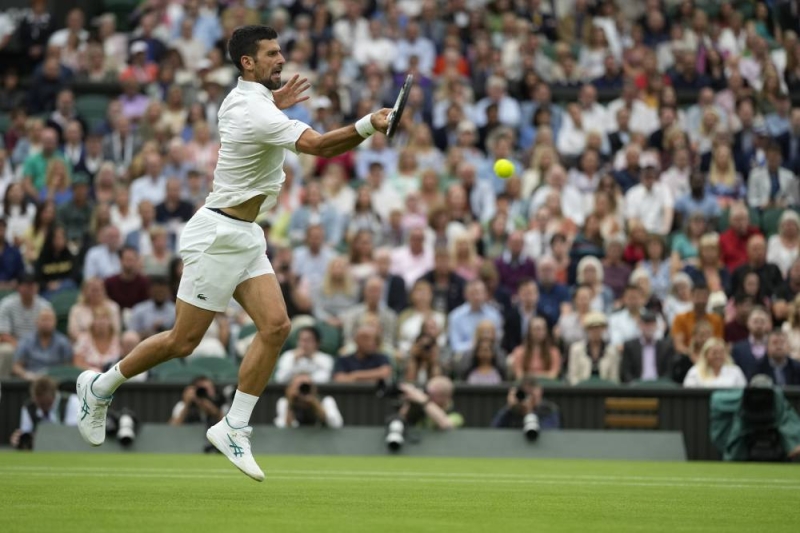 Novak Djokovic And Carlos Alcaraz Meet In The Wimbledon Final - The ...