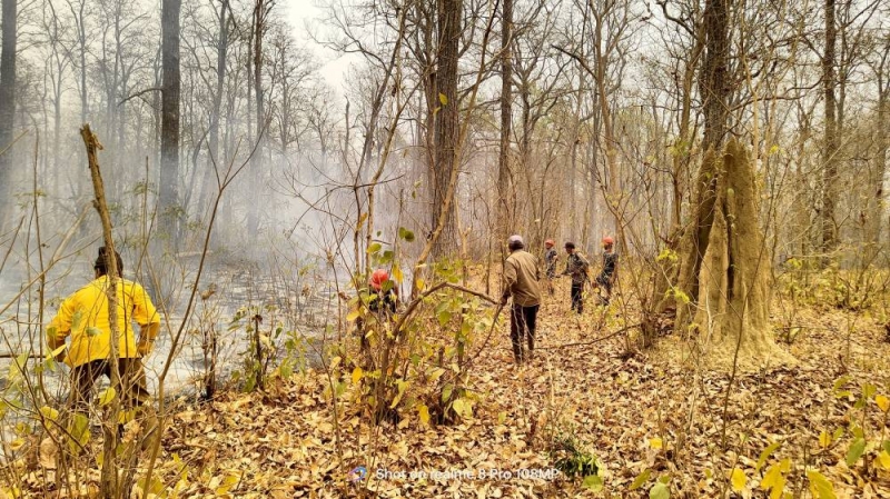 Five people arrested for igniting forest fire - Vimarsana News