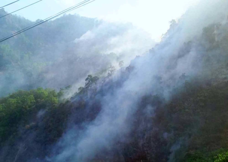 It's a matter of Concern ''Drying up spring water sources and wildfires" - Vimarsana News