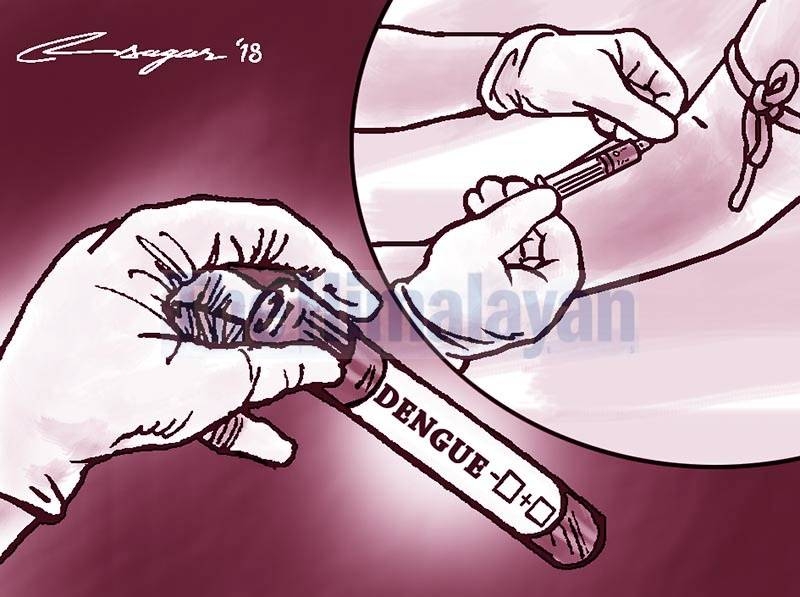 Dengue cases surpass 11,000 over nine months in Bagmati Province - Vimarsana News