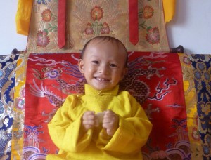 Ngawang Tenzin Choekyi Lodoe Rabsel. Photo: Phayul.com