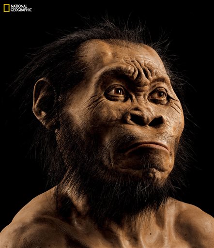 This March 2015 photo provided by National Geographic from their October 2015 issue shows a reconstruction of Homo naledi's face by paleoartist John Gurche at his studio in Trumansburg, N.Y. In an announcement made Thursday, Sept. 10, 2015, scientists say fossils found deep in a South African cave revealed the new member of the human family tree. Photo: THT