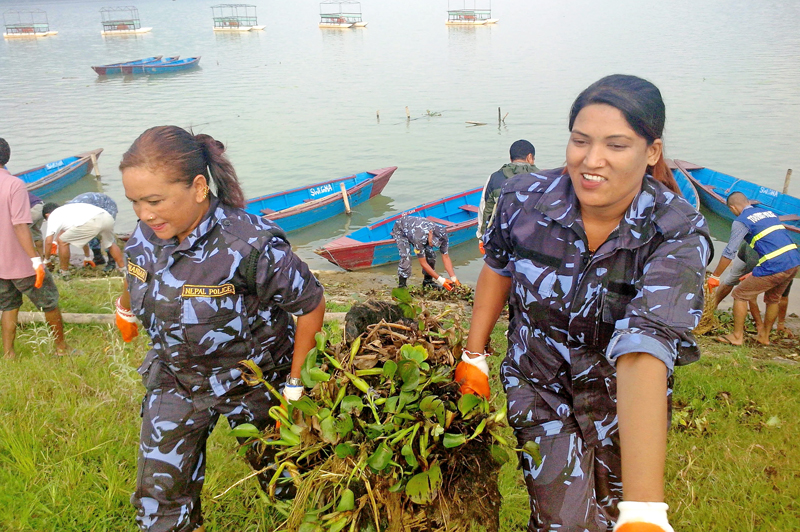 Police personnel removing hyacinth from Phewa Lake on the occasion of World Tourism Day organised by Western Region Hotel Association, in Pokhara, on Sunday, September 27, 2015. Photo: THT