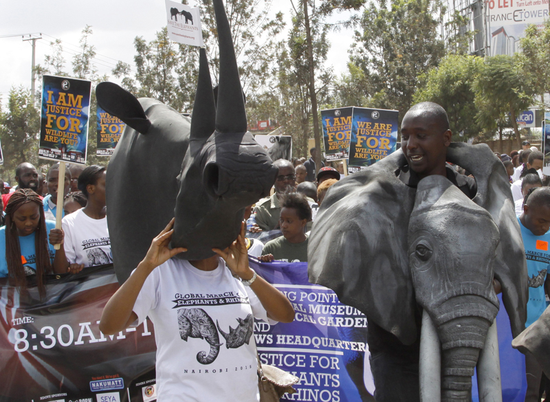 Kenyans wearing animal masks join demonstrators as they walk through the streets of Nairobi, Saturday, Oct. 3, 2015, participating in a Global March to support wildlife Elephants and Rhinos. Kenya is a leading wildlife safari destination that has been grappling with declining wildlife numbers, some thousands of people walked 10 kilometers in the capital Nairobi.   (AP Photo/Khalil Senosi)