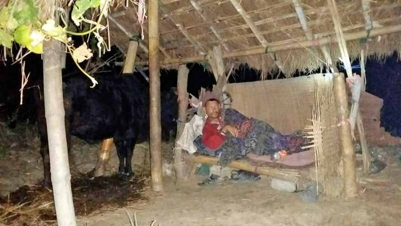 Makan Singh Nepal (40) of Ramchowk, Chiti VDC-8 of Lamjung district, has been confined in this cowshed  for 12 years. Photo: Tilak Rimal
