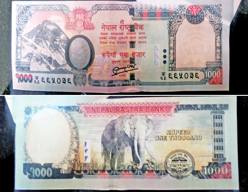 The obverse and reverse sides of a fresh but defective bank note of 1,000-rupee denomination that was extended to a client at Dillibazar branch of Nepal Bank Ltd, in Kathmandu, on Thursday. The central bank had announced last week that it would circulate new currency notes worth around Rs 57.86 billion to the general public from Sunday in view of the festivals of Dashain, Tihar and Chhat. Since the central bank issues a huge number of fresh bank notes for the festive season, it is unable to monitor the quality of every note. Such defective notes can be taken back to NRB and exchanged for free. Photo: THT
