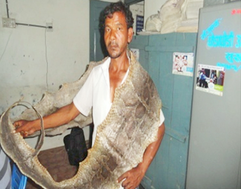 Man held with 12-feet-long python hide from Sungarkha-1 in Kailali district, on Thursday. Photo: Tekendra  Deuba