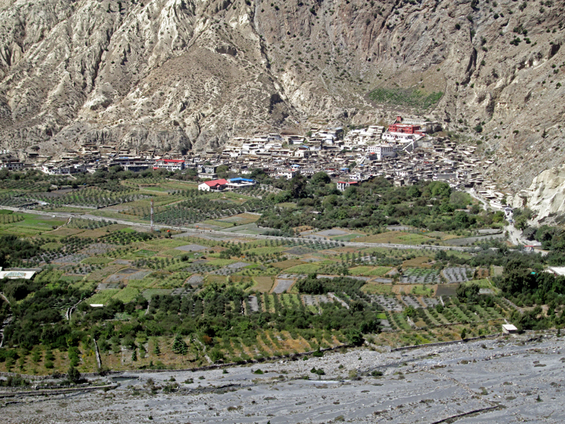 Marpa village, famous for apple production in the Mustang district. Photo: Rishi Ram Baral