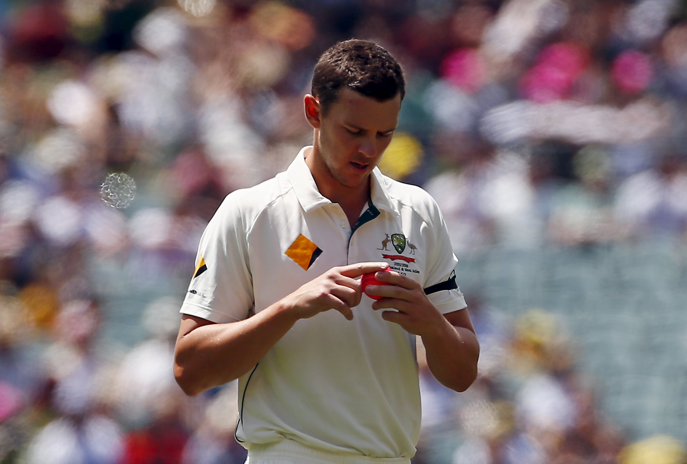 Australia's Josh Hazlewood shines the pink ball as he prepares to bowl during the first day of the third cricket test match against New Zealand at the Adelaide Oval, in South Australia, November 27, 2015.    REUTERS/David Gray