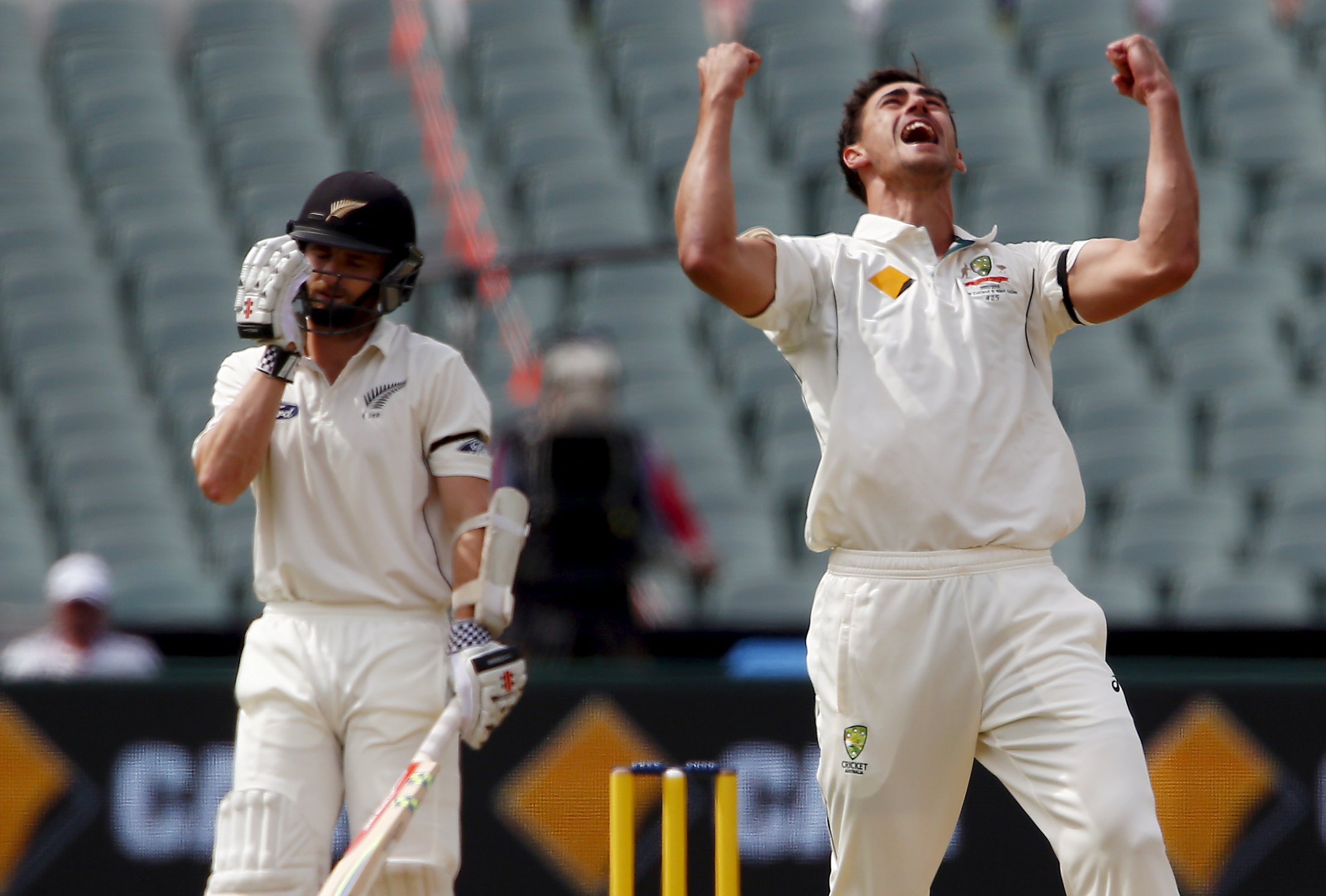 Australia's Mitchell Starc (right) celebrates dismissing New Zealand's Kane Williamson LBW for 22 runs during the first day of the third cricket test match at the Adelaide Oval, in South Australia, November 27, 2015. Photo: Reuters