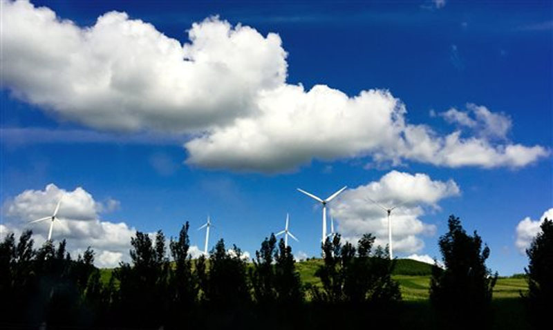 Wind turbines are built on a hill along a highway near Jiamusi, in northeastern China's Heilongjiang province on July 30, 2015. Photo: AP
