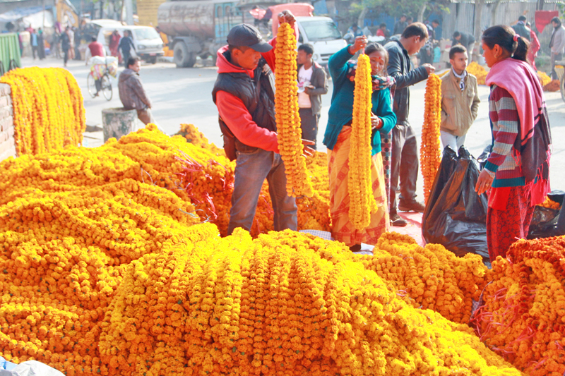 Florists selling marigold flowers in Kalimati of Capital on Tuesday, November 10, 2015. Photo: RSS