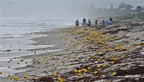 Thousands of cans and vacuum packed bricks of Cafe Bustelo brand coffee have washed up on the beaches of Indialantic, Florida, on Tuesday, December 8, 2015, most likely from a barge container that had fallen overboard this past weekend. Photo: Florida Today via AP