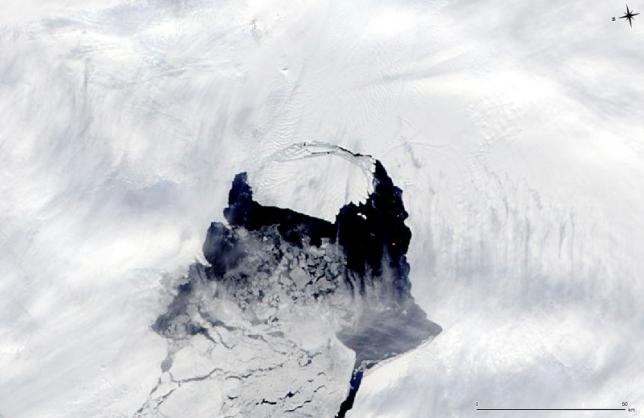 An iceberg which was part of the Pine Island Glacier is shown separating from the Antarctica continent in this MODIS image taken by NASAu2019s Aqua satellite on November 10, 2013. Photo: Reuters