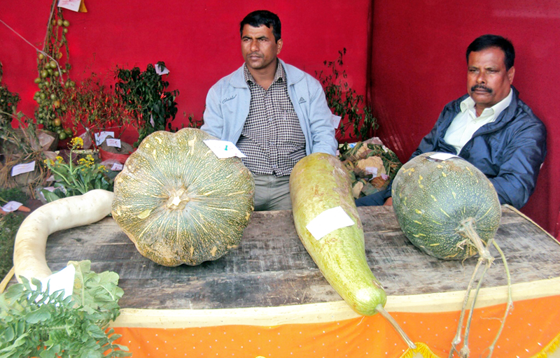 Agricultural products being put on display in the 9th National Agricultural Exhibition in Biratnagar, on Monday, February 8, 2016. Photo: RSS