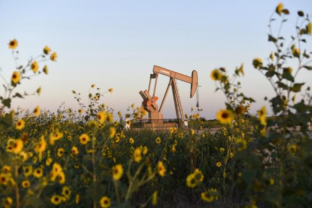 A pump jack is seen near sunflowers in Guthrie, Oklahoma in a September 15, 2015 file photo.  REUTERS/Nick Oxford/Files