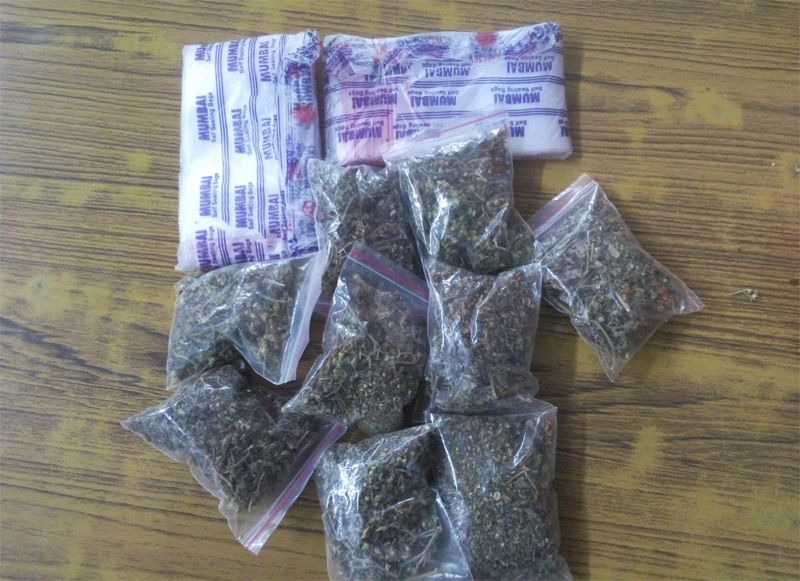 Marijuana packets confiscated by police from a youth in Kathmandu, on Wednesday, March 23, 2016. Photo: MPCD