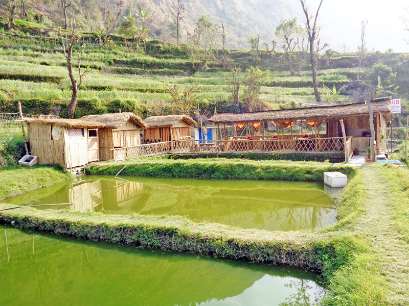 Fish ponds being constructed in Simalchaur with the motive of professional pisciculture in Myagdi district on Thursday, March 10, 2016. Photo: RSS