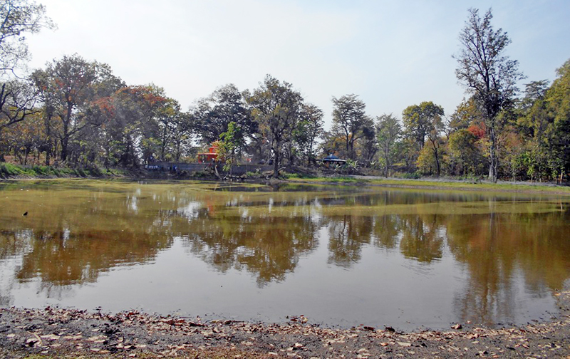 A pond sinking due to lack of conservation, in Mudka of Kanchanpur district on Wednesday, March 16, 2016. Photo: RSS