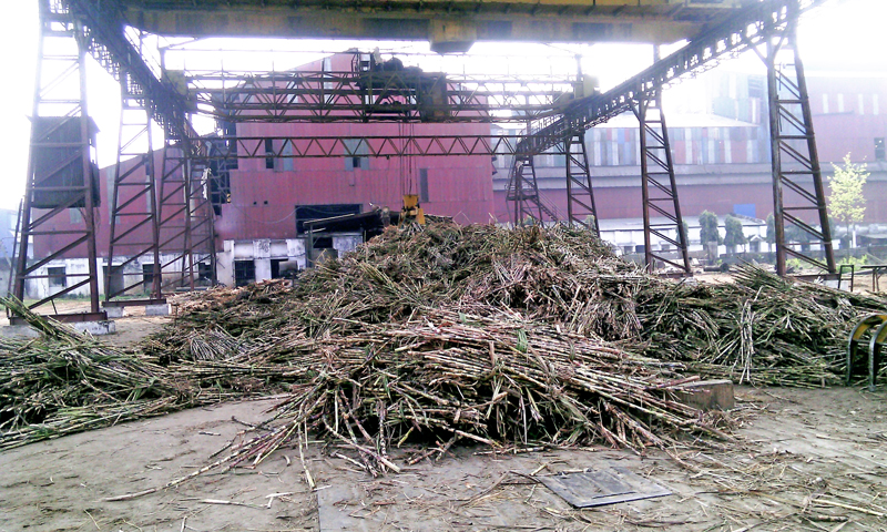 Sugarcane being transported to sugar mill for production of sugar in Rautahat, on Wednesday, March 2, 2016. Photo: Prabhat Jha