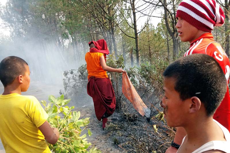 Young monks try to douse the fire that was apparently induced by a cigarette butt near the Seto Gumba (Druk Amitabha Mountain Monastery) in Ramkot, on Saturday, April 30, 2016. Photo: Monica Lohani/ THT