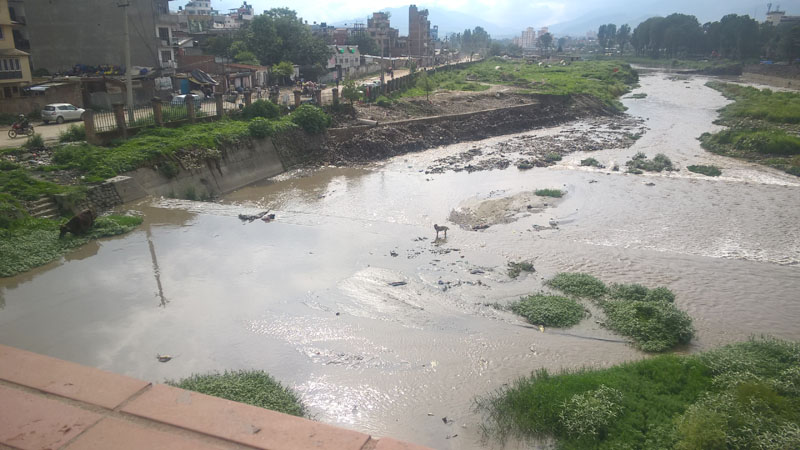 A view of the southern bank of Bagmati River from Thapathali bridge, on June 16, 2016. Photo: Sureis/THT Online