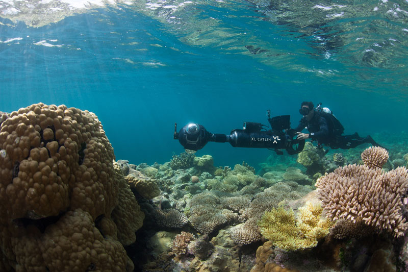 A diver with the XL Catlin Seaview Survey photographs coral reefs in Hawaii, in August 2015. Photo: XL Catlin Seaview Survey via AP