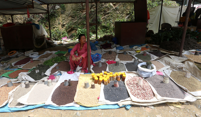 A woman waits for customers to sell locally produced beans and pulses among others, near the Dakshinkali Temple of Kathmandu, on Saturday, June 25, 2016. Photo: RSS