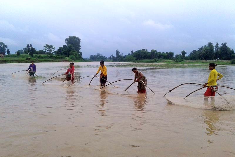 Women fishing  at the confluence of Syali and Sanbora rivers in Kanchanpur, on Saturday, July 16, 2016. Photo: RSS