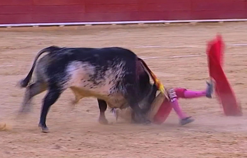 This framegrab taken from Castilla La Mancha TV shows matador Victor Barrio being gored by a bull during a bullfight in the Teruel bullring, east of Spain, Saturday July 9, 2016. Photo: AP