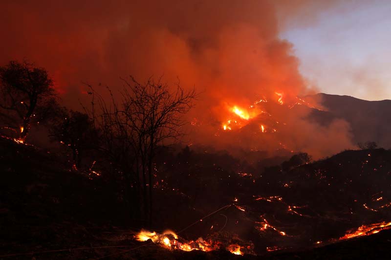 Fire burns brush on a hillside during the so-called Sand Fire in the Angeles National Forest near Los Angeles, California, US, on July 24, 2016. Photo: Reuters