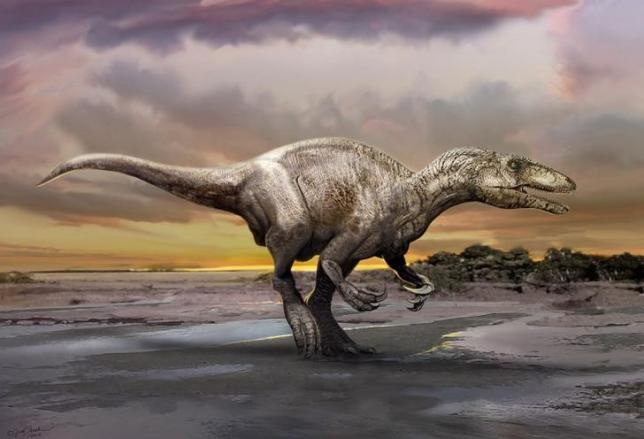 An artist's rendering of a carnivorous dinosaur unearthed in Argentina shows Murusraptor barrosaensis, which lived about 80 million years ago during the Cretaceous Period, measured about 21 feet (6.5 meters) long that prowled Patagonia, although fossils of relatives have been discovered in Australia and Japan.  Courtesy Jan Sovak/Handout via REUTERS