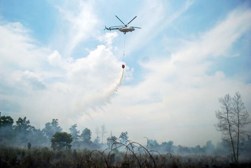 A helicopter from the Indonesian National Disaster Management (BNPB) drops water on a forest fire in Pekanbaru, Riau, Indonesia, on August 10, 2016. Photo: Reuters