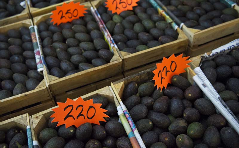 Avocados are displayed for sale in a large market in Mexico City, on Tuesday, August 9, 2016. Photo: AP