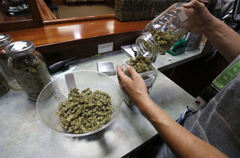An employee places marijuana for sale into glass containers at The Station, a retail and medical cannabis dispensary, in Boulder, Colo, onThursday, August 11, 2016. Photo:AP