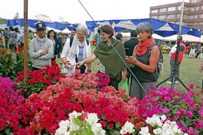 Foreigners enjoying flowers put on display at the 10th Godawari Festival in Jawalakhel of Lalitpur district, on Wednesday, October 26, 2016. Photo: RSS