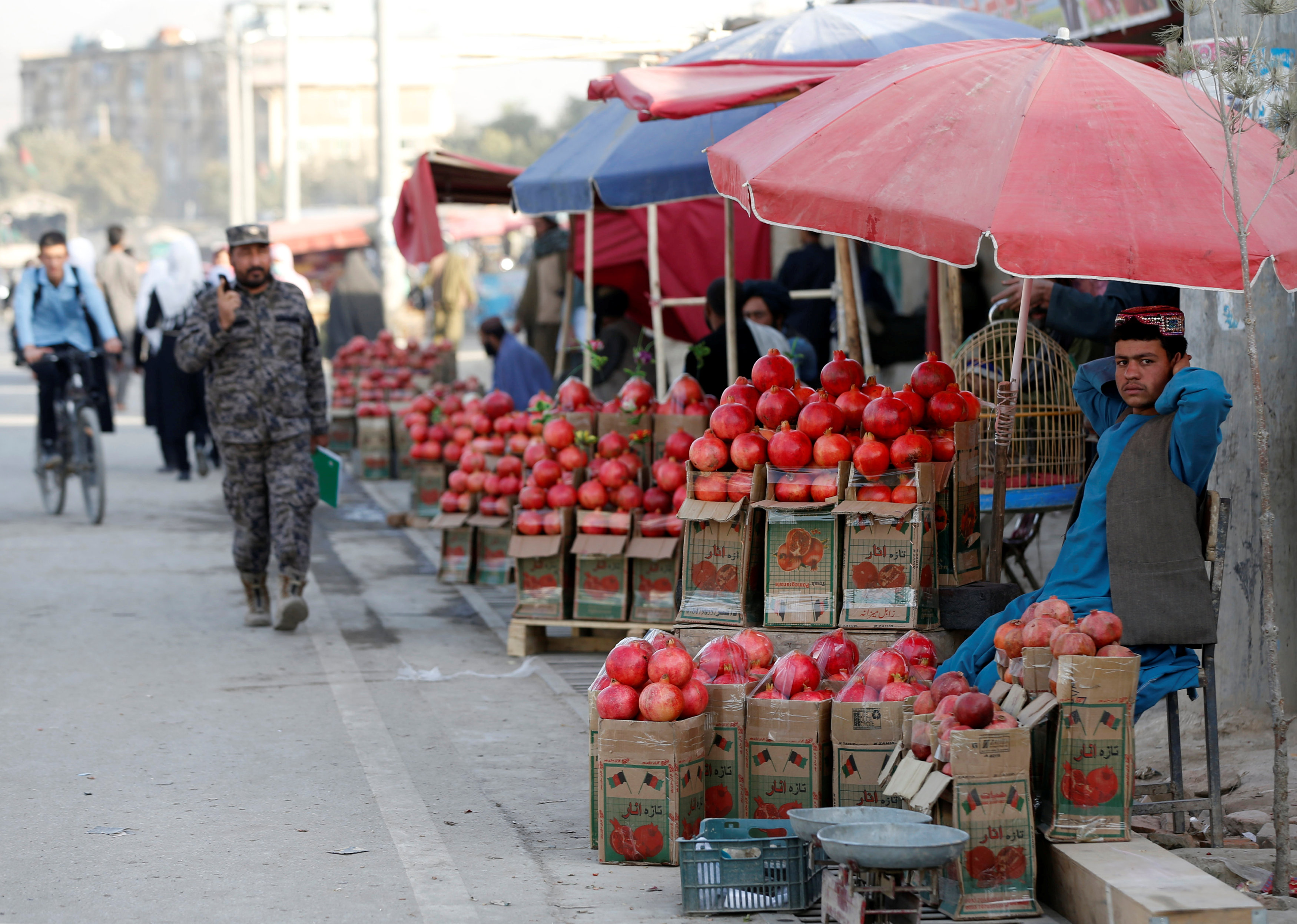 An Afghan man sells pomegranates along a street in Kabul, Afghanistan October 19, 2016. REUTERS/Omar Sobhani