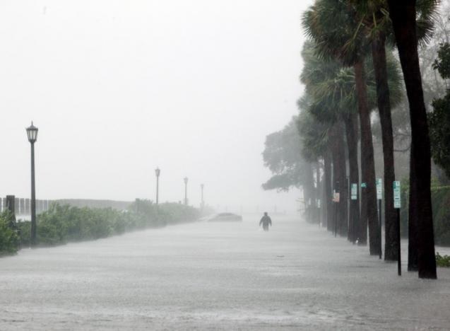 A man walks through flood on East Battery Street as storm surge and rain water from Hurricane Matthew hit Charleston, South Caroline, US on October 8, 2016. Photo: Reuters