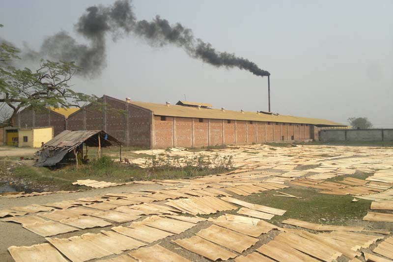 Smoke billows out from the Ganesh Plywood Industry in Bahadurgunj of Kapilvastu district, on Wednesday, October 19, 2016. Photo: RSS
