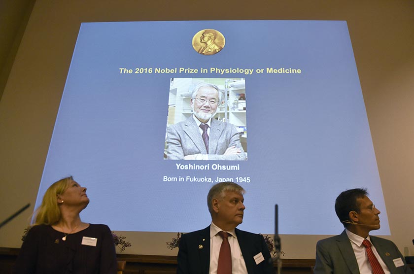 A photo of Nobel Prize winner Yoshinori Ohsumi of Japan, is displayed on a screen at the Nobel Forum in Stockholm, Sweden, during the announcement of the Nobel Prize for Medicine, Monday Oct.  3, 2016. Stina Stjernkvist / TT via AP