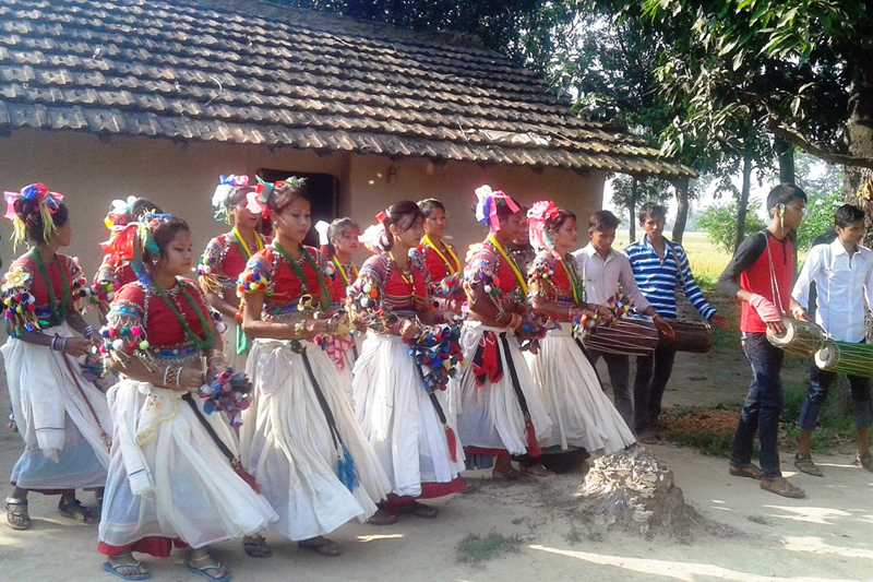 Tharu youth perform the traditional Sakhiya dance in Jonapur of Kanchanpur district, on Tuesday, October 11, 2016. Photo: RSS