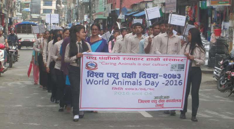 Students take out a rally on the occasion of World Animals Day-2016 in Damauli of Tanahun on Tuesday, October 4, 2016. Photo: Madan Wagle