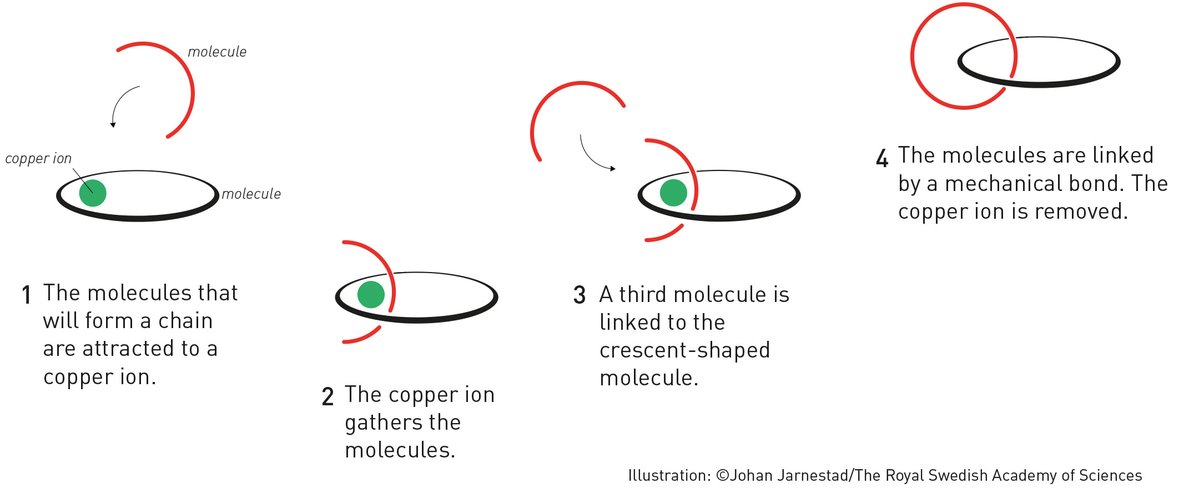 Breakthrough in 1983: Jean-Pierre Sauvage used a copper ion to interlock molecules using a mechanical bond. @NobelPrize 