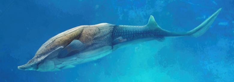 This illustration shows the fish called Qilinyu that lived 423 million years ago during the Silurian Period. A fossil of the fish was unearthed in China’s Yunnan province and is described in the journal Science.  Courtesy Dinghua Yang/Chinese Academy of Sciences/Handout via REUTERS