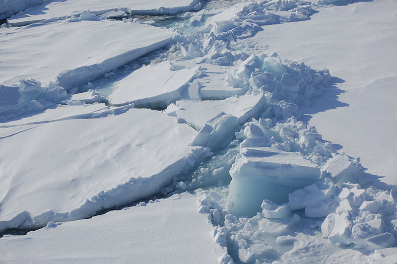 Ice floats in the Arctic near Svalbard, Norway, on April 24, 2009. At current carbon emission levels, the Arctic will likely be free of sea ice in September around mid-century, which could make weather even more extreme and strand some polar animals, a study published on Thursday in the journal Science finds. Photo: Dirk Notz via AP