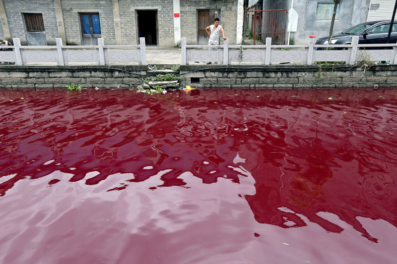 File - A man looks at a contaminated river in Cangnan county of Wenzhou, Zhejiang province, China on  July 24, 2014. Photo: Reuters