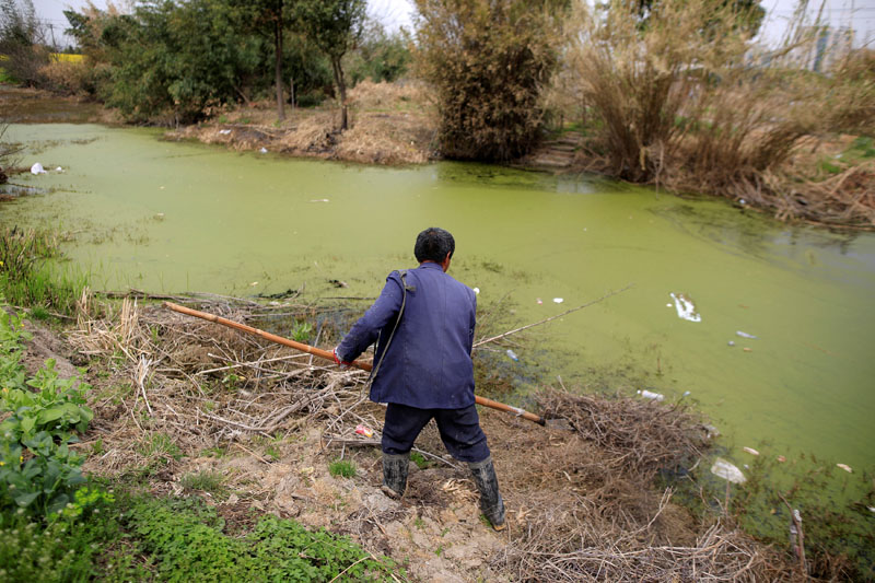 A farmer works on a polluted river in Shanghai, China on March 21, 2016. Photo: Reuters