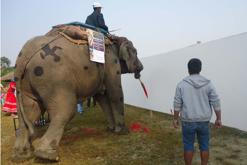 An elephant inaugurates a painting competition and exhibition by painting a canvas, in Bharatpur of Chitwan district, on Monday, November 28, 2016. Photo: Tilak Ram Rimal    